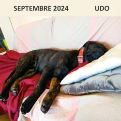 Septembre 2024